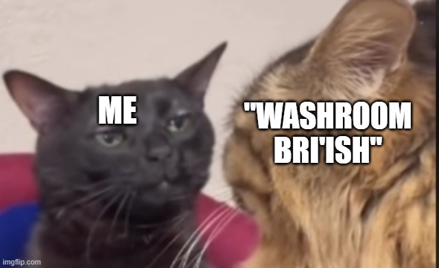 ME "WASHROOM BRI'ISH" | image tagged in black cat zoning out | made w/ Imgflip meme maker