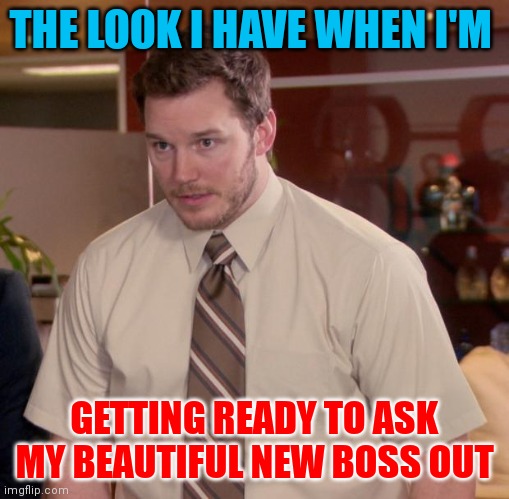 Asking boss out | THE LOOK I HAVE WHEN I'M; GETTING READY TO ASK MY BEAUTIFUL NEW BOSS OUT | image tagged in memes,afraid to ask andy,funny memes | made w/ Imgflip meme maker