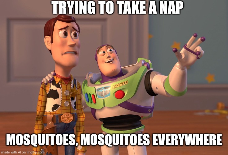 *insert title here* | TRYING TO TAKE A NAP; MOSQUITOES, MOSQUITOES EVERYWHERE | image tagged in memes,x x everywhere | made w/ Imgflip meme maker
