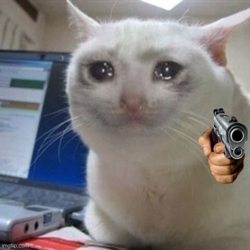 Crying cat | image tagged in crying cat | made w/ Imgflip meme maker