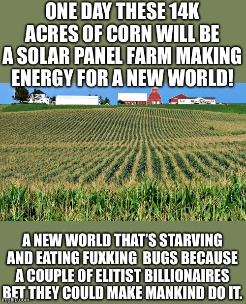 You’ll eat bugs , beg for energy, and own nothing! | ONE DAY THESE 14K ACRES OF CORN WILL BE A SOLAR PANEL FARM MAKING ENERGY FOR A NEW WORLD! A NEW WORLD THAT’S STARVING AND EATING FUXKING  BUGS BECAUSE A COUPLE OF ELITIST BILLIONAIRES BET THEY COULD MAKE MANKIND DO IT. | image tagged in democrats | made w/ Imgflip meme maker
