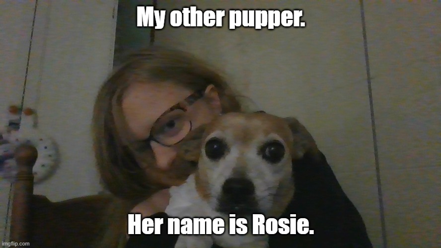 Mah Other Doggo | My other pupper. Her name is Rosie. | made w/ Imgflip meme maker