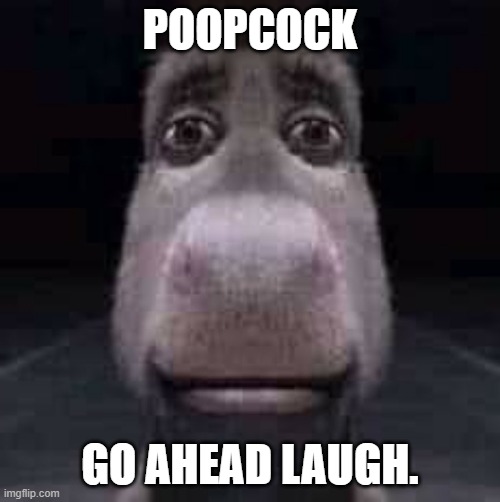 Donkey staring | POOPCOCK; GO AHEAD LAUGH. | image tagged in donkey staring | made w/ Imgflip meme maker