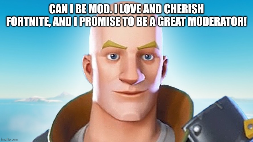 Pls | CAN I BE MOD. I LOVE AND CHERISH FORTNITE, AND I PROMISE TO BE A GREAT MODERATOR! | image tagged in bald fortnite guy | made w/ Imgflip meme maker