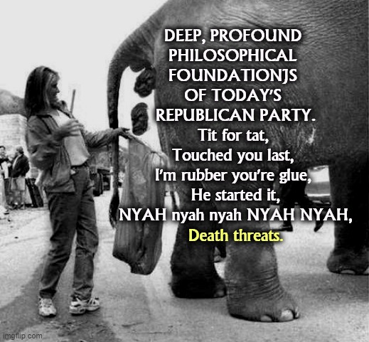 How deep? REAL deep. | DEEP, PROFOUND 
PHILOSOPHICAL 
FOUNDATIONJS 
OF TODAY'S 
REPUBLICAN PARTY.
Tit for tat, 
Touched you last, 
I'm rubber you're glue, 
He started it,
NYAH nyah nyah NYAH NYAH, Death threats. | image tagged in the republican party lets go with another press release,republican party,childish,infantile,bullying,baby | made w/ Imgflip meme maker