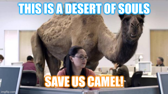 Cubicle office is a Desert of Souls | THIS IS A DESERT OF SOULS; SAVE US CAMEL! | image tagged in hump day camel,cubicles,desert of souls,office,supercamel,save me | made w/ Imgflip meme maker