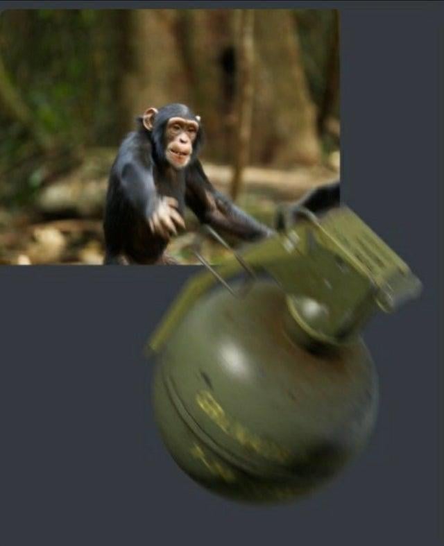 Monkey throwing grenade Blank Meme Template