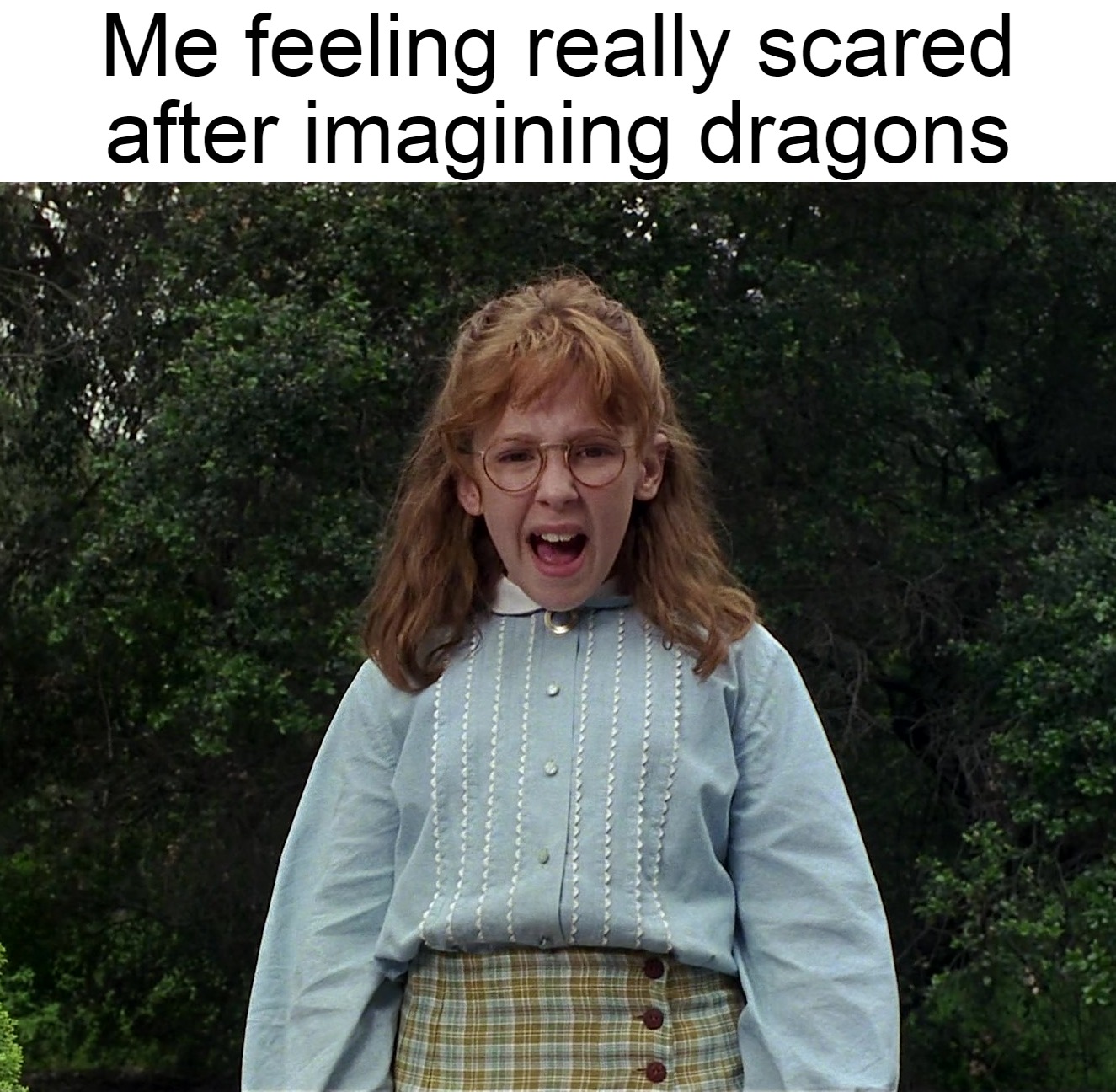 Me feeling really scared after imagining dragons | image tagged in meme,memes,funny,dank memes | made w/ Imgflip meme maker