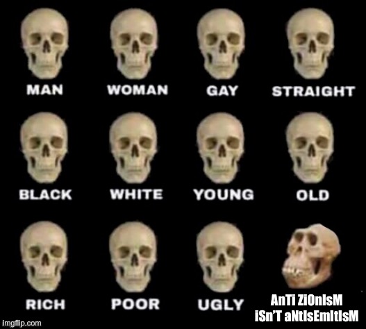 They don’t even know what Zionism is | AnTi ZiOnIsM iSn’T aNtIsEmItIsM | image tagged in idiot skull | made w/ Imgflip meme maker