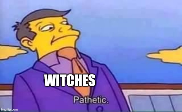 skinner pathetic | WITCHES | image tagged in skinner pathetic | made w/ Imgflip meme maker