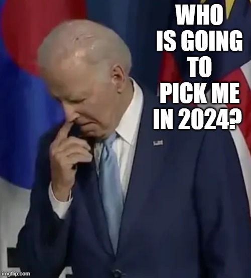 Who is going to pick me in 2024? | WHO IS GOING TO PICK ME IN 2024? | image tagged in stupid people,morons,idiots,stupidity,sam elliott special kind of stupid | made w/ Imgflip meme maker