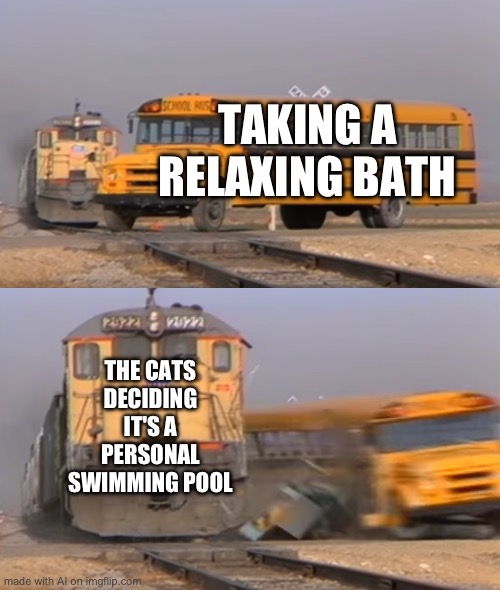hahhahahah | TAKING A RELAXING BATH; THE CATS DECIDING IT'S A PERSONAL SWIMMING POOL | image tagged in a train hitting a school bus | made w/ Imgflip meme maker