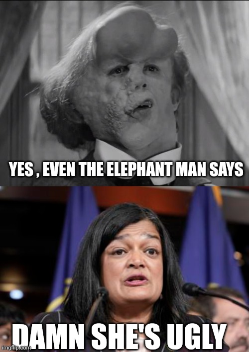 Elephant man | YES , EVEN THE ELEPHANT MAN SAYS; DAMN SHE'S UGLY | image tagged in democrats | made w/ Imgflip meme maker