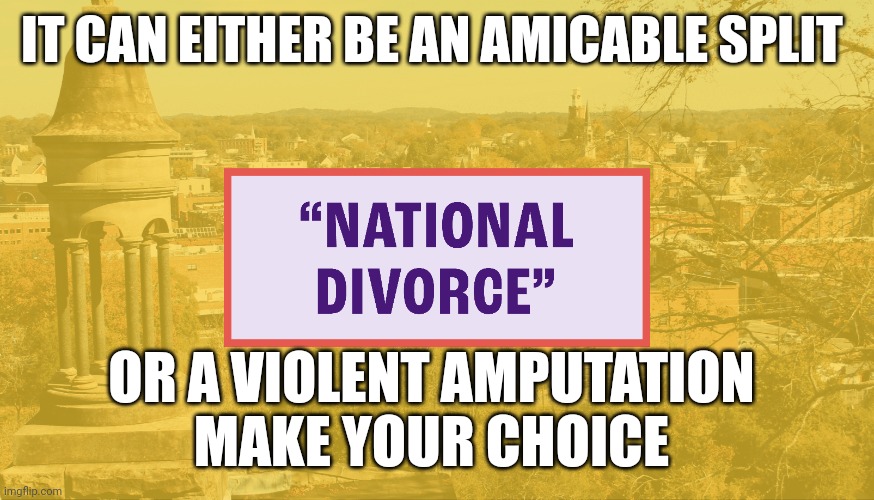 national divorce | IT CAN EITHER BE AN AMICABLE SPLIT; OR A VIOLENT AMPUTATION 

MAKE YOUR CHOICE | image tagged in american revolution | made w/ Imgflip meme maker