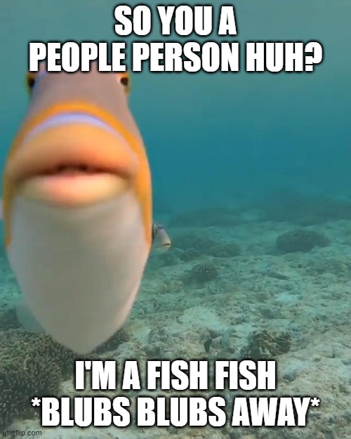 staring fish | SO YOU A PEOPLE PERSON HUH? I'M A FISH FISH *BLUBS BLUBS AWAY* | image tagged in staring fish | made w/ Imgflip meme maker