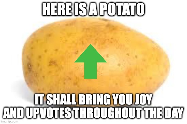 potato | HERE IS A POTATO; IT SHALL BRING YOU JOY AND UPVOTES THROUGHOUT THE DAY | image tagged in potato,funny memes,upvotes | made w/ Imgflip meme maker
