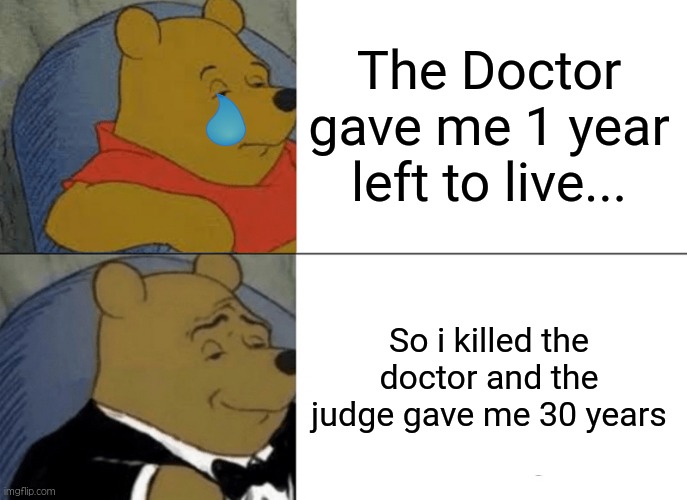 a great solution | The Doctor gave me 1 year left to live... So i killed the doctor and the judge gave me 30 years | image tagged in memes,tuxedo winnie the pooh | made w/ Imgflip meme maker