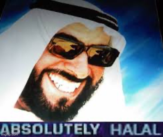 Absolutely Halal | image tagged in absolutely halal | made w/ Imgflip meme maker