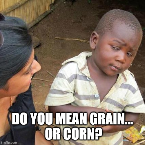 Third World Skeptical Kid Meme | DO YOU MEAN GRAIN...
 OR CORN? | image tagged in memes,third world skeptical kid | made w/ Imgflip meme maker