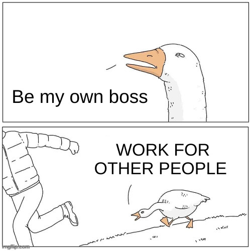 boss | Be my own boss; WORK FOR OTHER PEOPLE | image tagged in goose chase | made w/ Imgflip meme maker