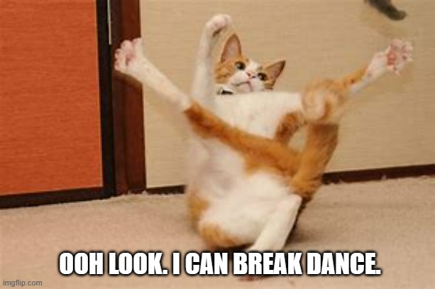meme by Brad break dancing cat | OOH LOOK. I CAN BREAK DANCE. | image tagged in humor,funny cat memes,cat meme,funny memes,funny meme | made w/ Imgflip meme maker