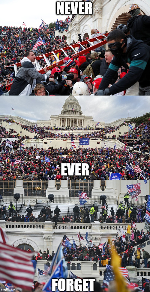 3 years | NEVER; EVER; FORGET | image tagged in qanon - insurrection - trump riot - sedition,january 6 rioters on capitol steps,insurrection jan 6th 2021 | made w/ Imgflip meme maker