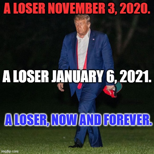 The Simple TRUTH. | A LOSER NOVEMBER 3, 2020. A LOSER JANUARY 6, 2021. A LOSER, NOW AND FOREVER. | image tagged in politics | made w/ Imgflip meme maker