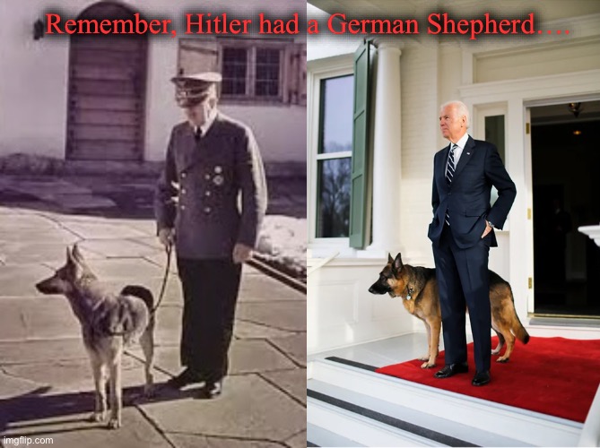 Biden German Shepherd | Remember, Hitler had a German Shepherd…. | image tagged in joe biden,adolf hitler | made w/ Imgflip meme maker
