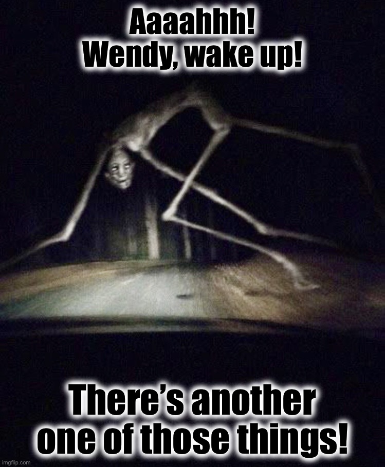 Nice night for a drive | Aaaahhh!
Wendy, wake up! There’s another
one of those things! | image tagged in night drive,creatures,memes,cursed,roadkill,monsters | made w/ Imgflip meme maker