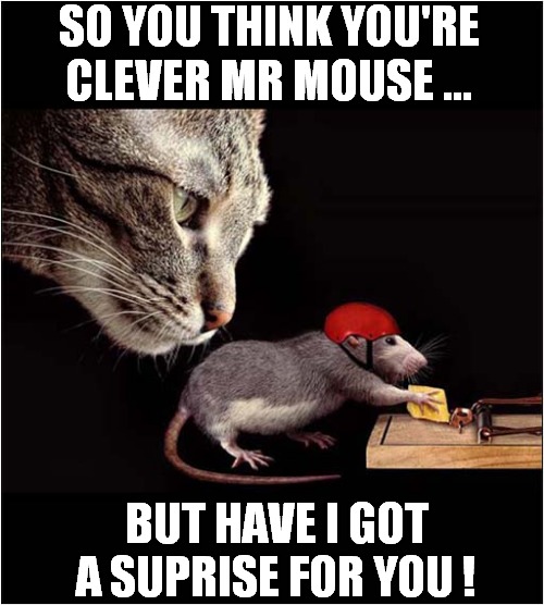 He's Behind You ! | SO YOU THINK YOU'RE
CLEVER MR MOUSE ... BUT HAVE I GOT A SUPRISE FOR YOU ! | image tagged in cats,mouse,mouse trap | made w/ Imgflip meme maker