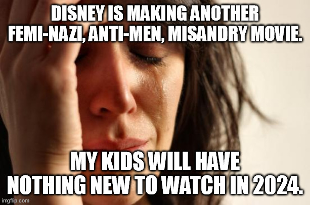 There will not be anything disney, lucasfilm, marvel and all other disney owned companies put out that's worth watching! | DISNEY IS MAKING ANOTHER FEMI-NAZI, ANTI-MEN, MISANDRY MOVIE. MY KIDS WILL HAVE NOTHING NEW TO WATCH IN 2024. | image tagged in memes,first world problems,disney,feminazi,feminasty,2024 | made w/ Imgflip meme maker