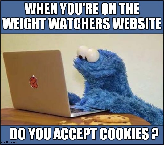 This Is Somewhat Contradictory ! | WHEN YOU'RE ON THE WEIGHT WATCHERS WEBSITE; DO YOU ACCEPT COOKIES ? | image tagged in cookie monster,weight watchers,cookies,contradiction | made w/ Imgflip meme maker