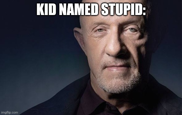 Kid Named | KID NAMED STUPID: | image tagged in kid named | made w/ Imgflip meme maker