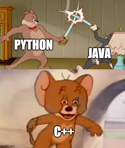 Only the coding nerds will understand this | PYTHON; JAVA; C++ | image tagged in tom and jerry swordfight | made w/ Imgflip meme maker