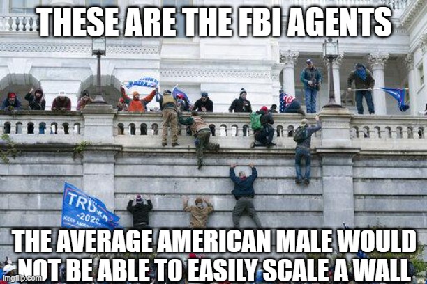 Jan. 6 2021 | THESE ARE THE FBI AGENTS THE AVERAGE AMERICAN MALE WOULD NOT BE ABLE TO EASILY SCALE A WALL | image tagged in jan 6 2021 | made w/ Imgflip meme maker
