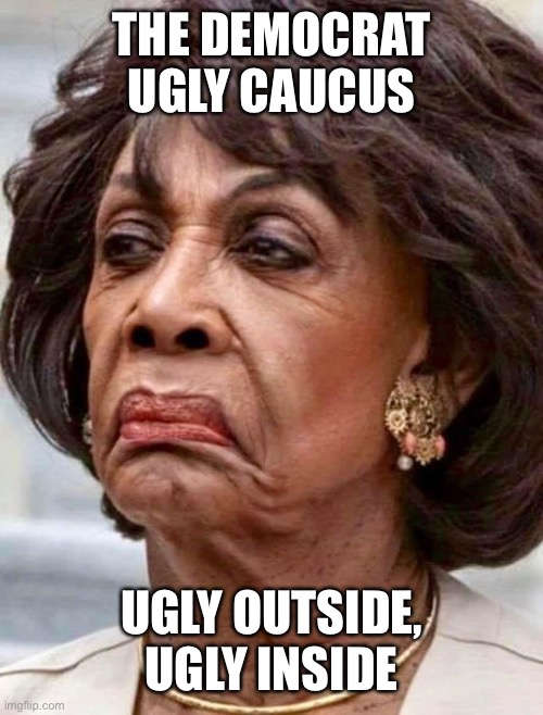 Maxine Waters | THE DEMOCRAT UGLY CAUCUS UGLY OUTSIDE, UGLY INSIDE | image tagged in maxine waters | made w/ Imgflip meme maker