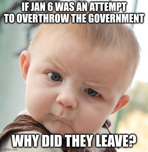 Skeptical Baby Meme | IF JAN 6 WAS AN ATTEMPT TO OVERTHROW THE GOVERNMENT; WHY DID THEY LEAVE? | image tagged in memes,skeptical baby | made w/ Imgflip meme maker