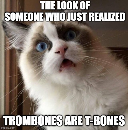 Astonished cat | THE LOOK OF SOMEONE WHO JUST REALIZED; TROMBONES ARE T-BONES | image tagged in astonished cat | made w/ Imgflip meme maker