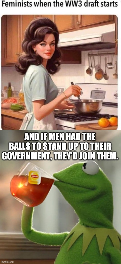Be a man for once in your life and put on this dress! | AND IF MEN HAD THE BALLS TO STAND UP TO THEIR GOVERNMENT, THEY’D JOIN THEM. | image tagged in memes,but that's none of my business,ww3,military,draft,feminism | made w/ Imgflip meme maker