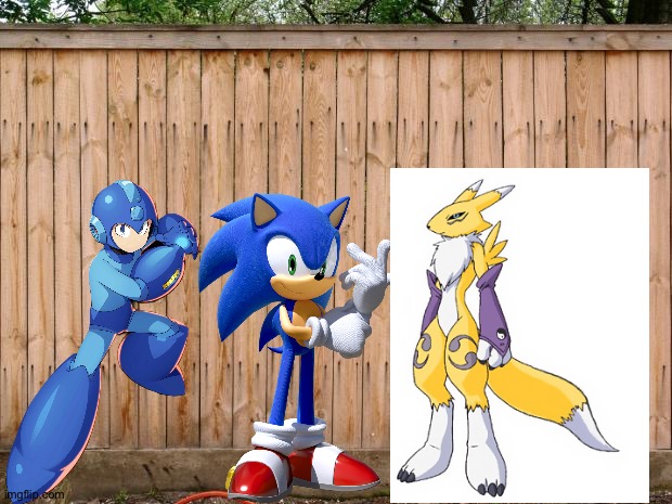 Megaman,Sonic and Renamon having fun in their backyard | image tagged in fence,megaman,sonic the hedgehog,sonic,digimon,crossover | made w/ Imgflip meme maker