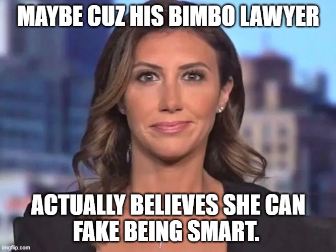 MAYBE CUZ HIS BIMBO LAWYER ACTUALLY BELIEVES SHE CAN
FAKE BEING SMART. | made w/ Imgflip meme maker