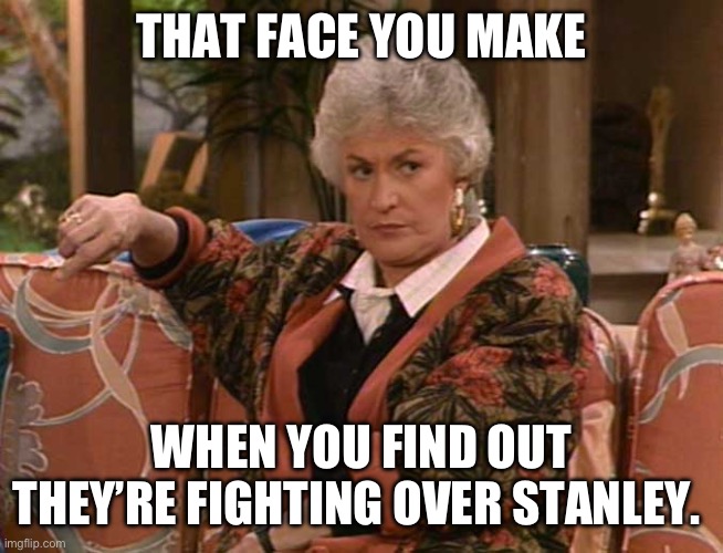 Dorothy Golden Girls  | THAT FACE YOU MAKE; WHEN YOU FIND OUT THEY’RE FIGHTING OVER STANLEY. | image tagged in dorothy golden girls | made w/ Imgflip meme maker