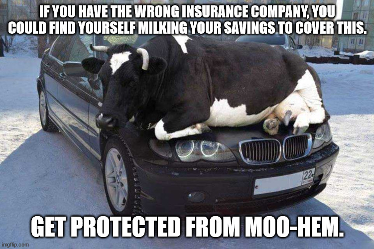 Allstatefarmers | IF YOU HAVE THE WRONG INSURANCE COMPANY, YOU COULD FIND YOURSELF MILKING YOUR SAVINGS TO COVER THIS. GET PROTECTED FROM MOO-HEM. | image tagged in dean winters,mayhem,cows,bulls,snow,car insurance | made w/ Imgflip meme maker