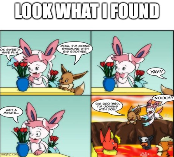 look what I found on the internet | LOOK WHAT I FOUND | image tagged in pokemon | made w/ Imgflip meme maker