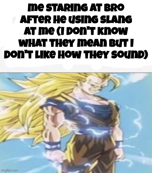 me staring at bro after he using slang at me (I don't know what they mean but I don't like how they sound) | made w/ Imgflip meme maker