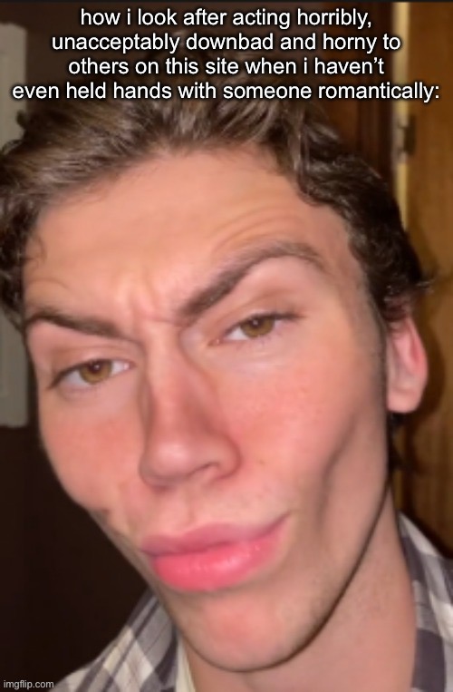 face rev | how i look after acting horribly, unacceptably downbad and horny to others on this site when i haven’t even held hands with someone romantically: | image tagged in face rev | made w/ Imgflip meme maker