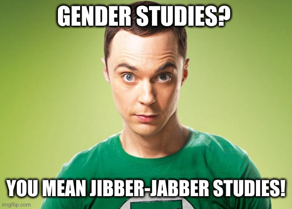 Sheldon Cooper | GENDER STUDIES? YOU MEAN JIBBER-JABBER STUDIES! | image tagged in sheldon cooper | made w/ Imgflip meme maker