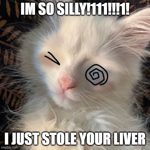 Silly kitty! | IM SO SILLY!111!!!1! I JUST STOLE YOUR LIVER | image tagged in silly kitty | made w/ Imgflip meme maker