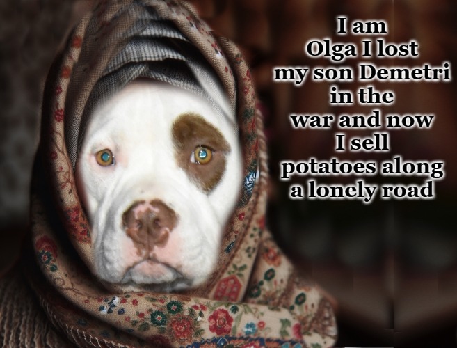 I am Olga | I am Olga I lost my son Demetri in the war and now I sell potatoes along a lonely road | image tagged in olga,potatoes | made w/ Imgflip meme maker