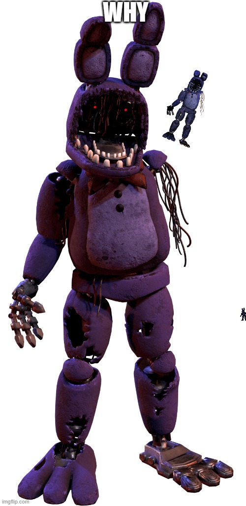 withered bonnie | WHY | image tagged in withered bonnie | made w/ Imgflip meme maker